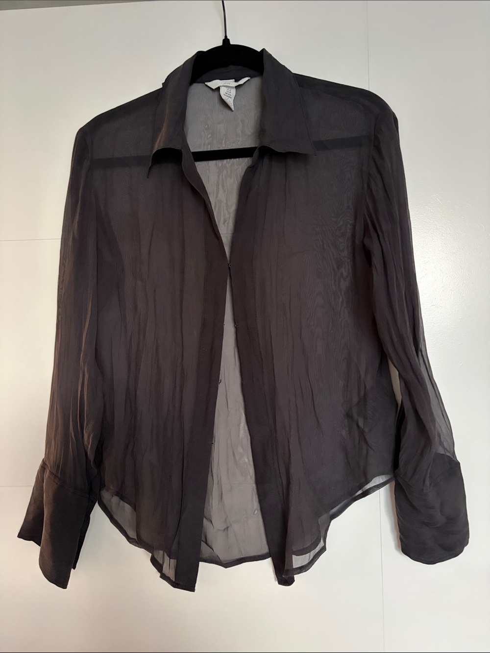 H&M Black Sheer Button-Up Blouse